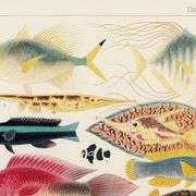 Poster about exotic fish, based on an old lithograph from 18