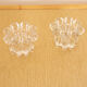 2 bougeoirs en verre transparent