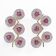 Pair of Modern Italian Murano Glass and Brass Flowers Wall Lamps