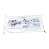 Poster by Michel Michel Cambrony