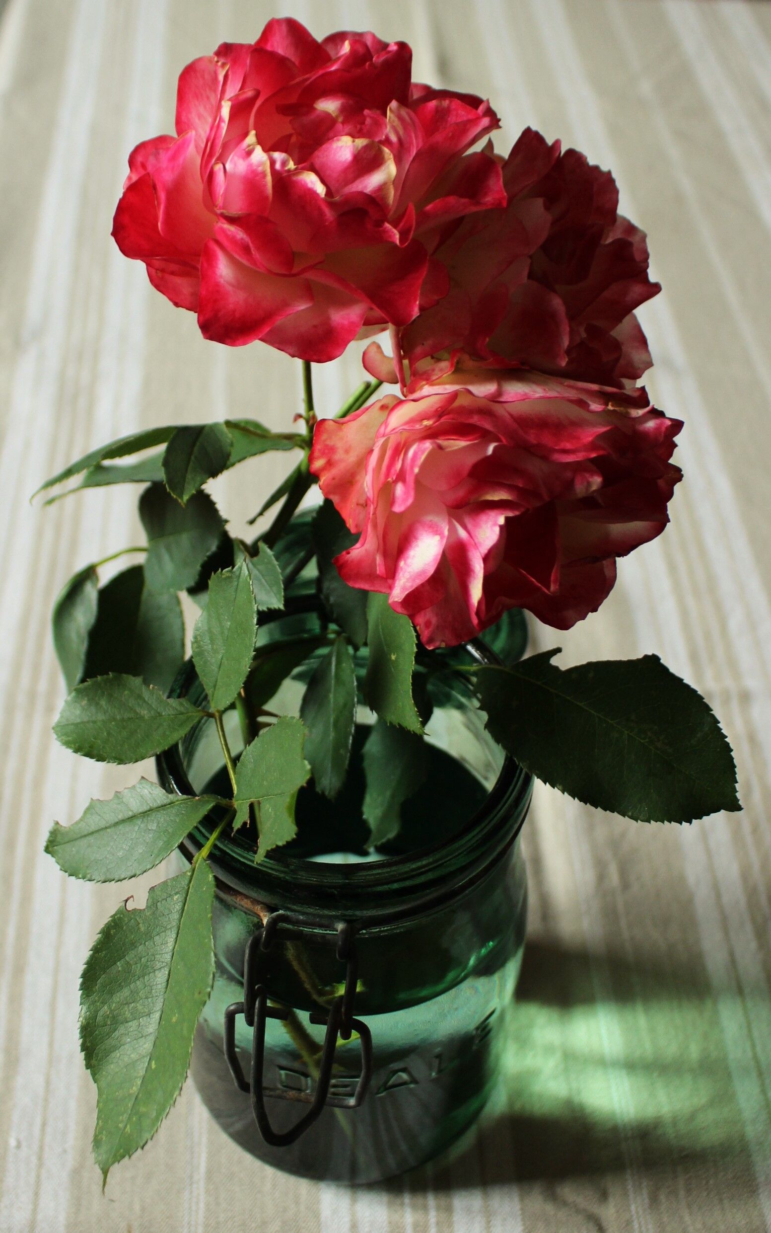 Ideal Green Glass Jar 1L