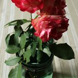 Ideal Green Glass Jar 1L