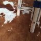 Tabouret bistrot parisien