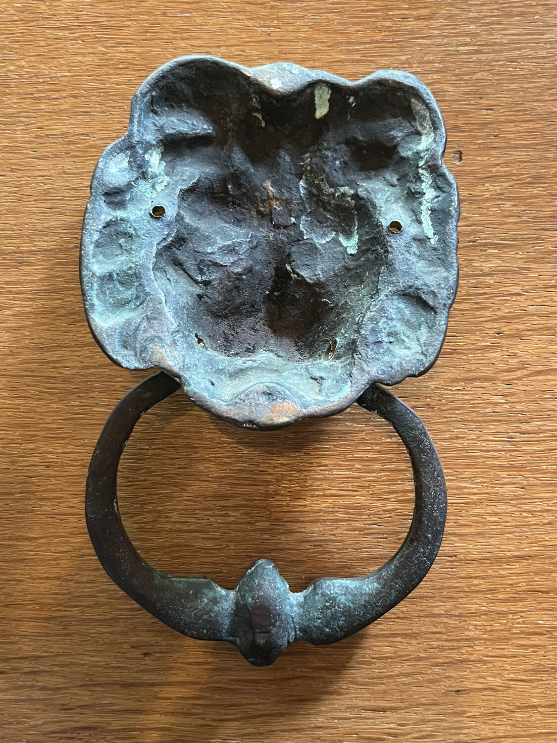 Lion head door knocker