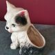 Cat pot holder
