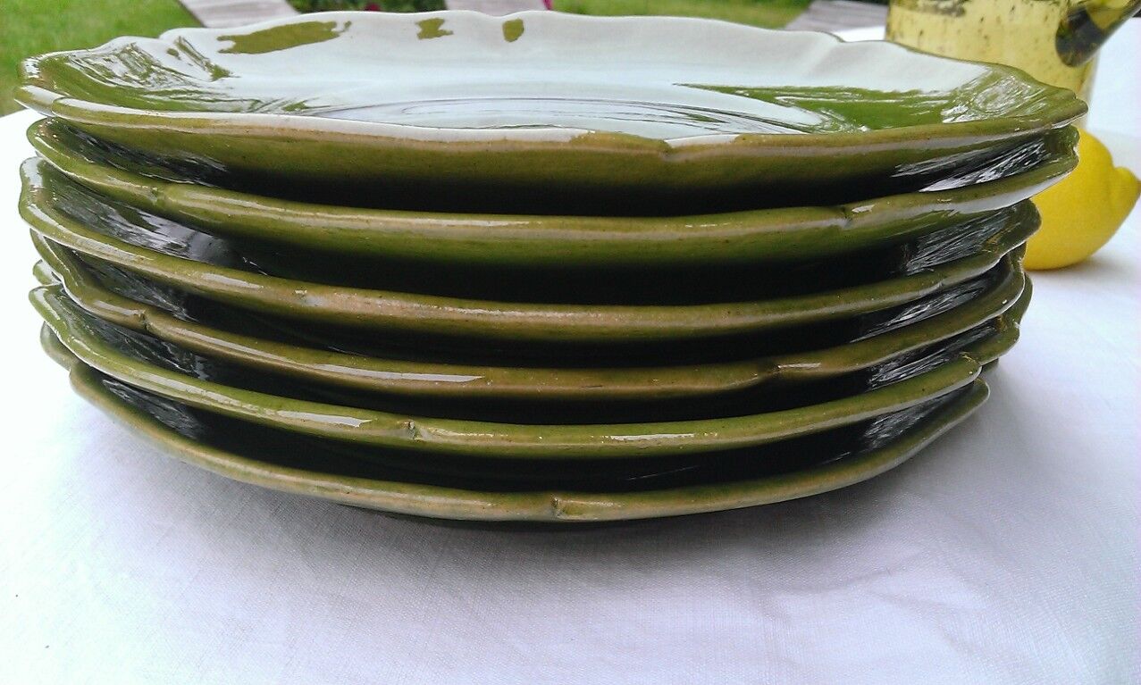 6 flat plates green BIOT