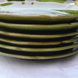6 flat plates green BIOT