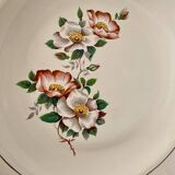 Set of 6 vintage Salins soup plates
