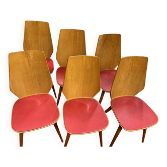6 BAUMANN chairs