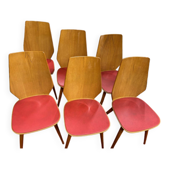 6 chaises BAUMANN