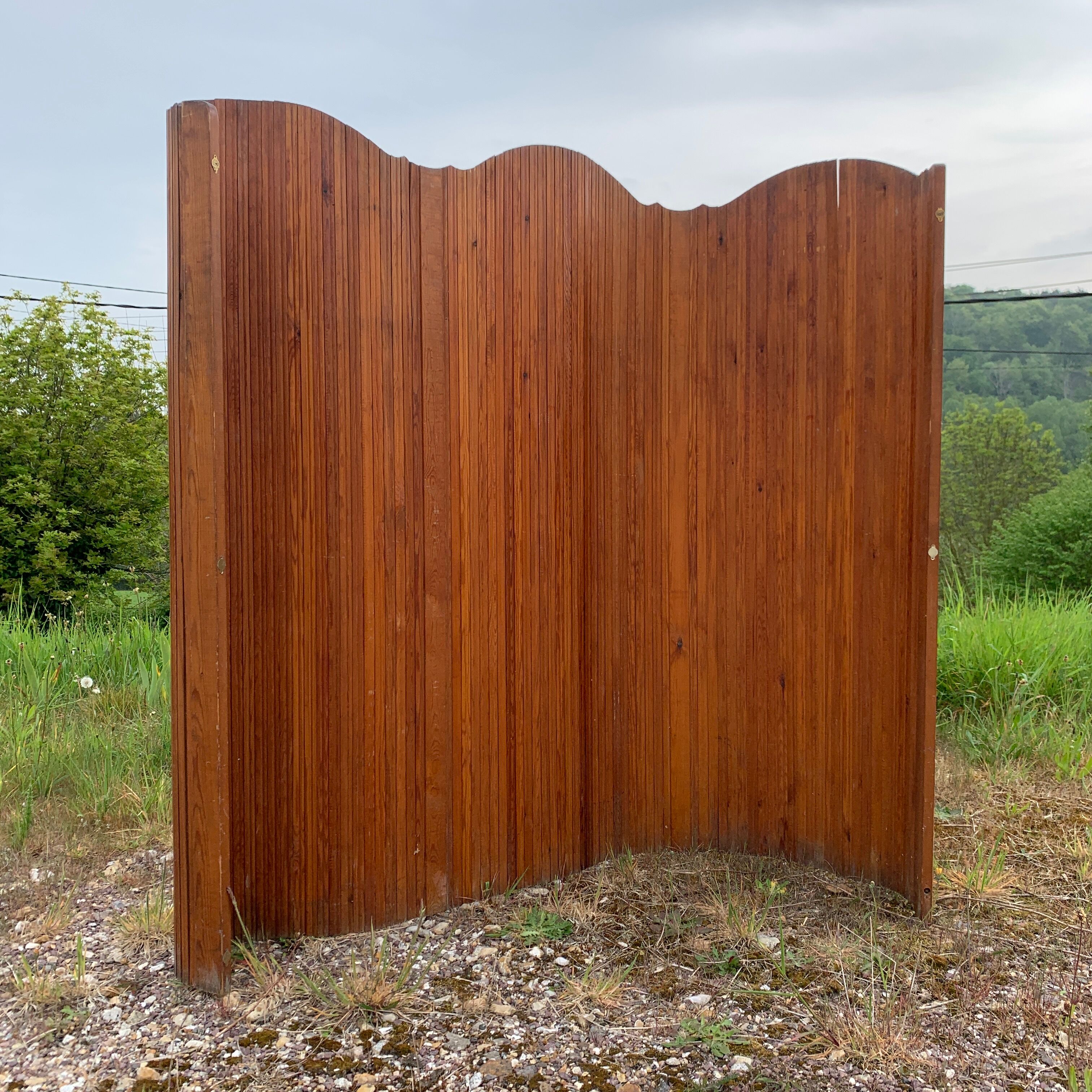 SNSA screen in pitchpin slats genus Baumann