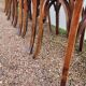Series of 6 vintage restaurant bistro chairs - 1950s