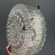 Pair of transparent round glass wall lights