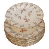 9 Louis XV plates from Sarreguemines