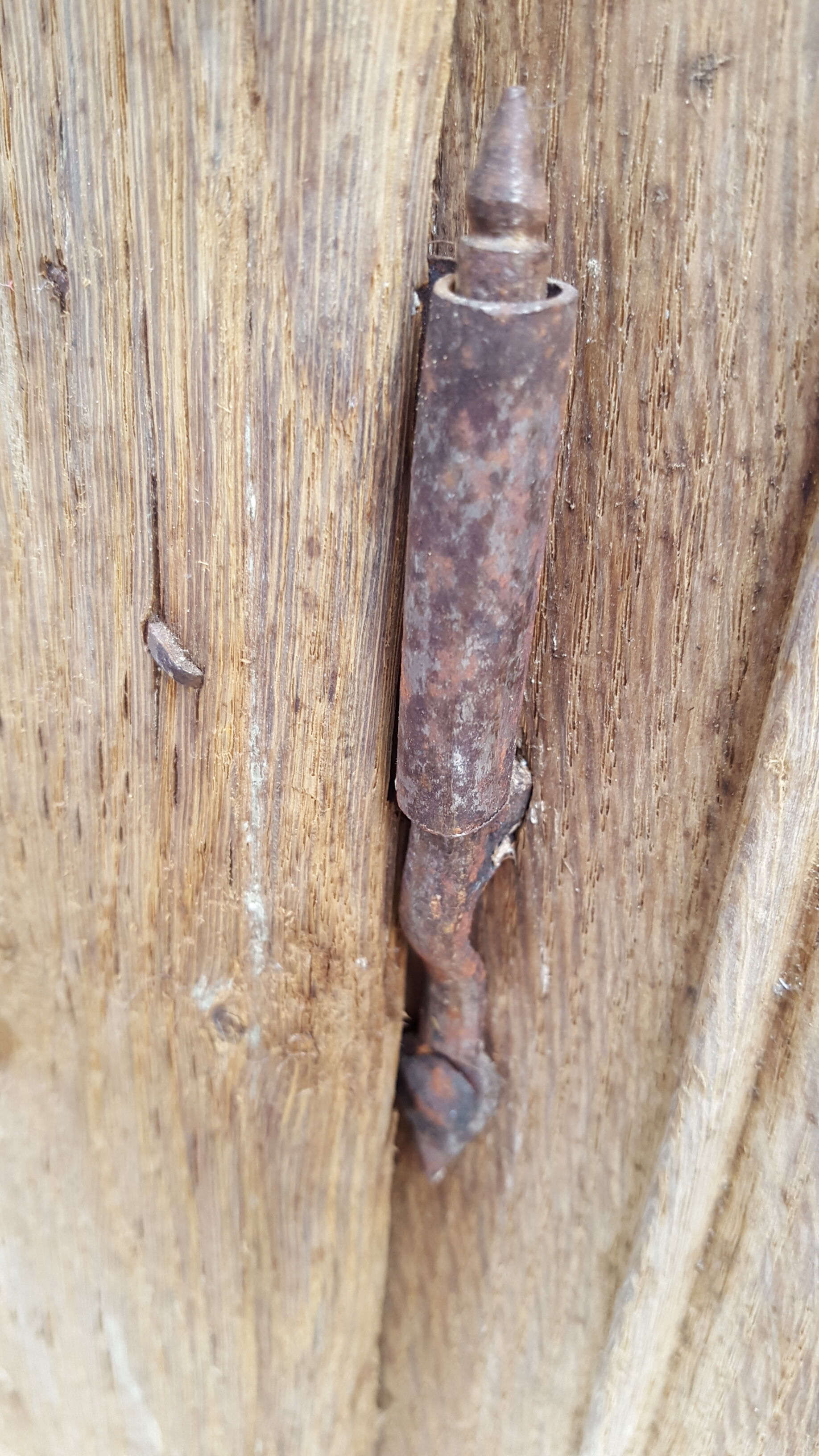 XIX old door with its frame