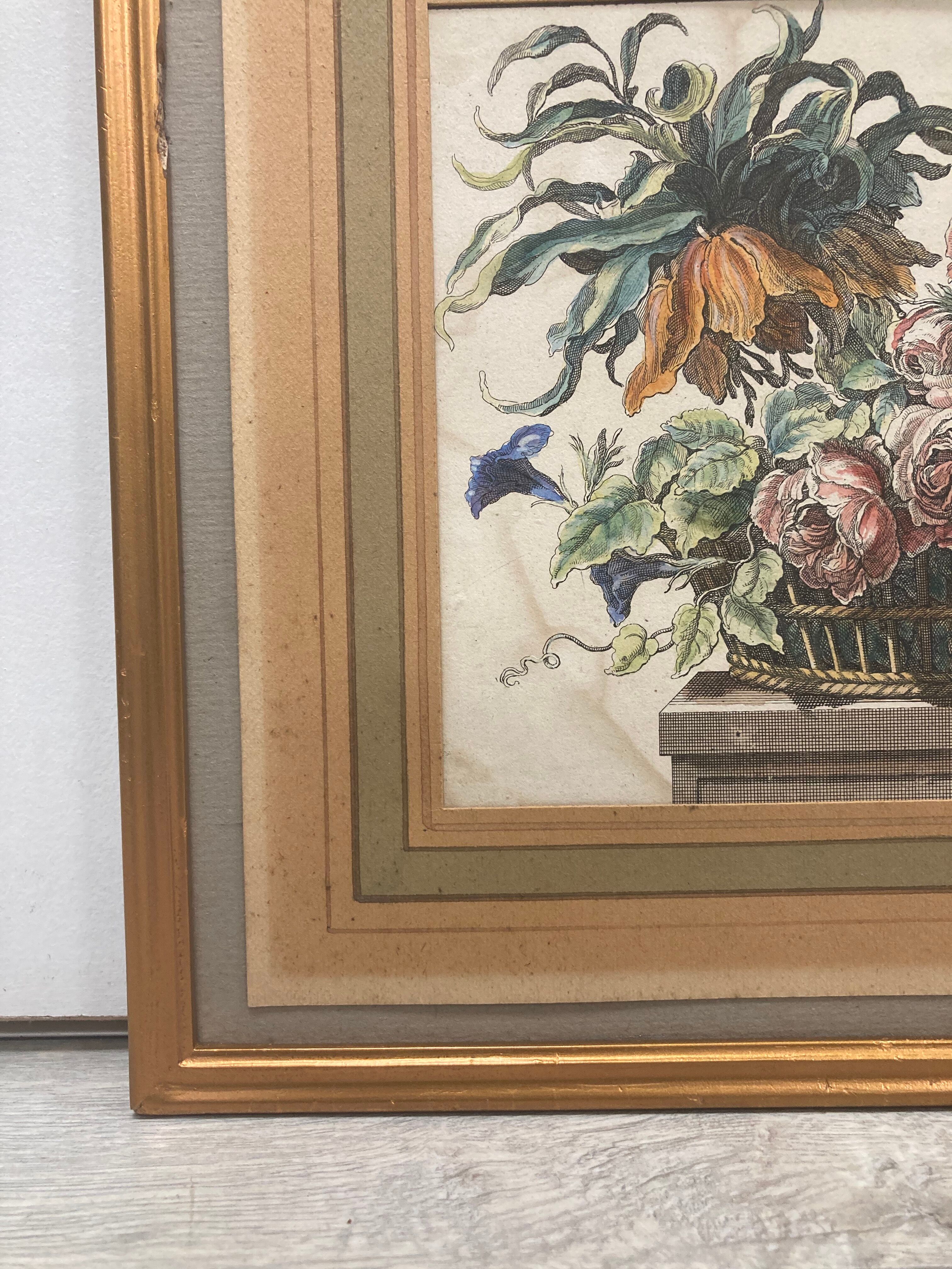 Pair of framed botanical boards