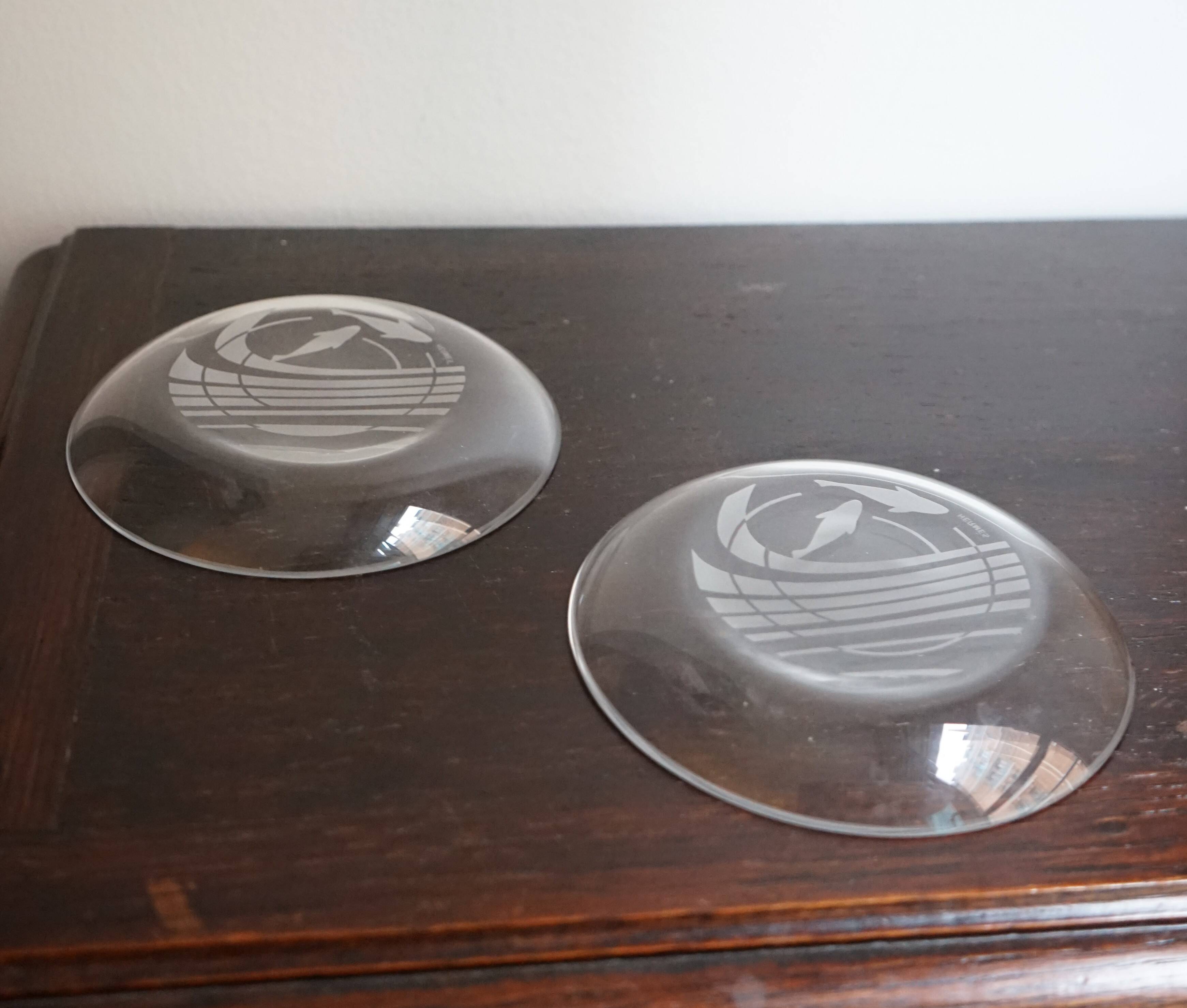 Hermès pair of glass plates with a dolphin pattern.