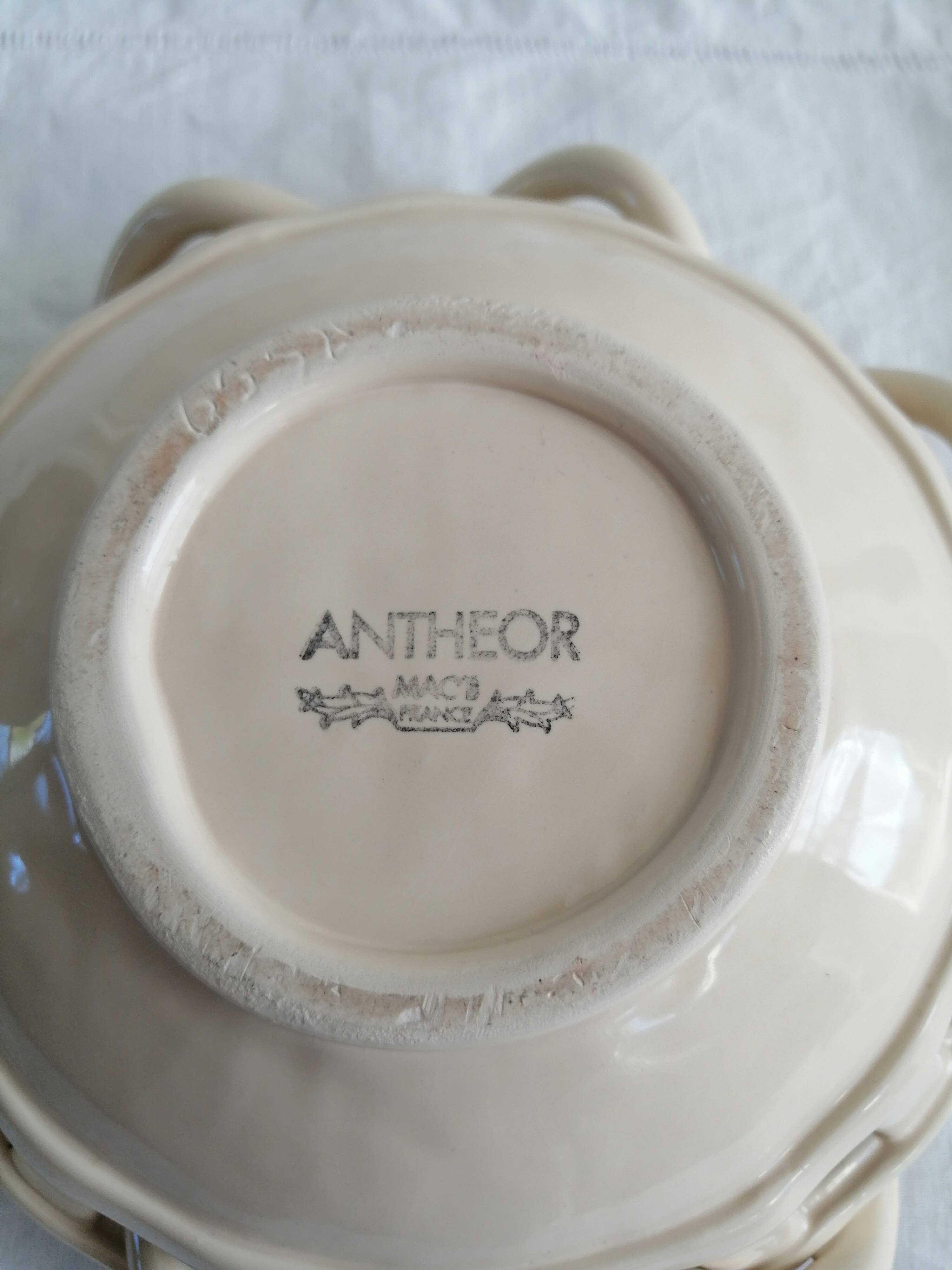 Antheor Bowl