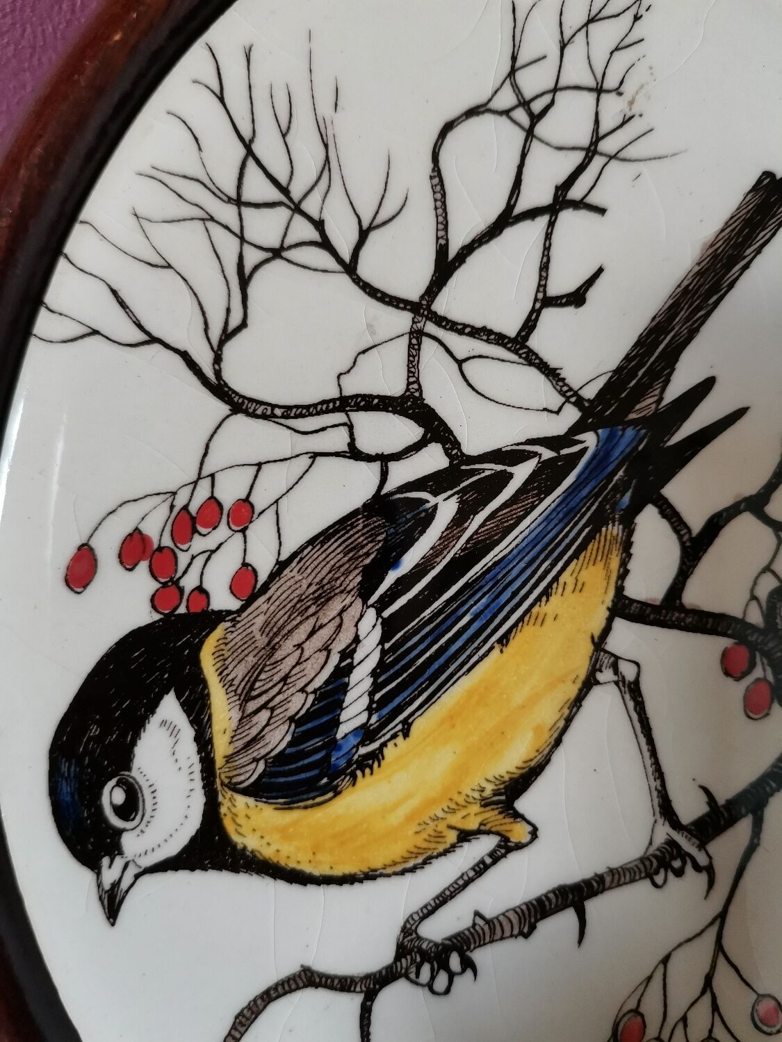Oval frame bird