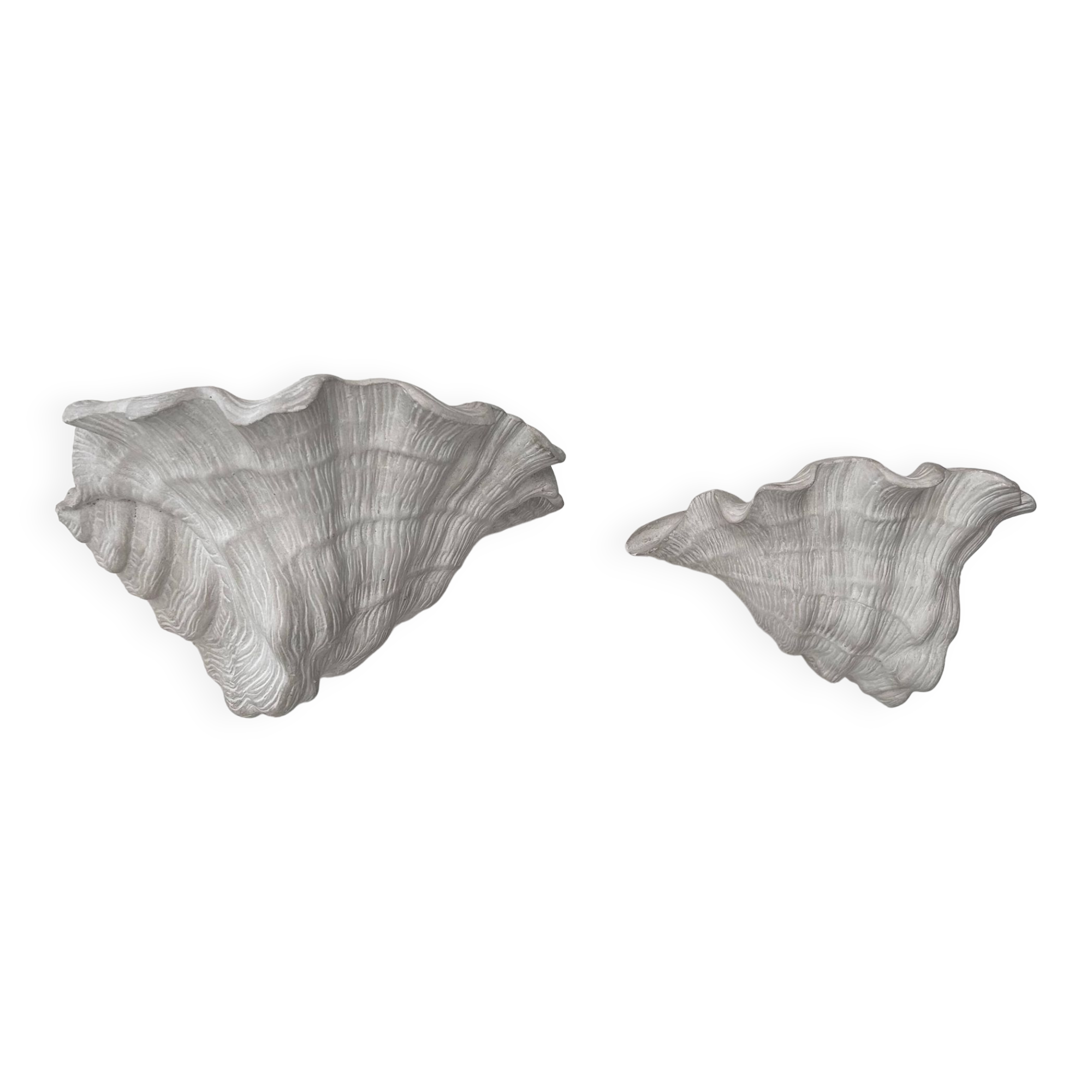 Pair of vintage shell wall lights, matte white plaster, France 1940