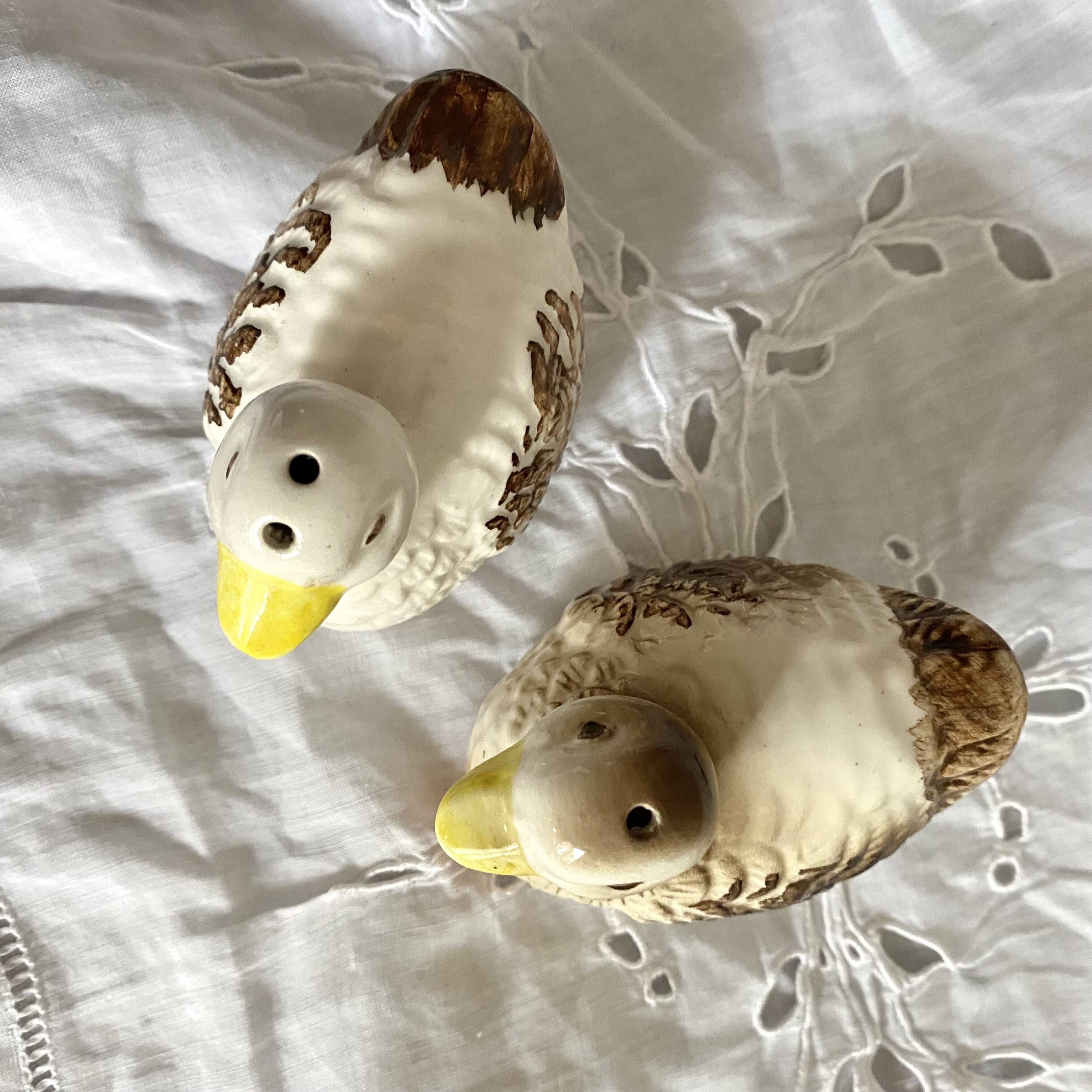 Duck barbotine salt and pepper shaker