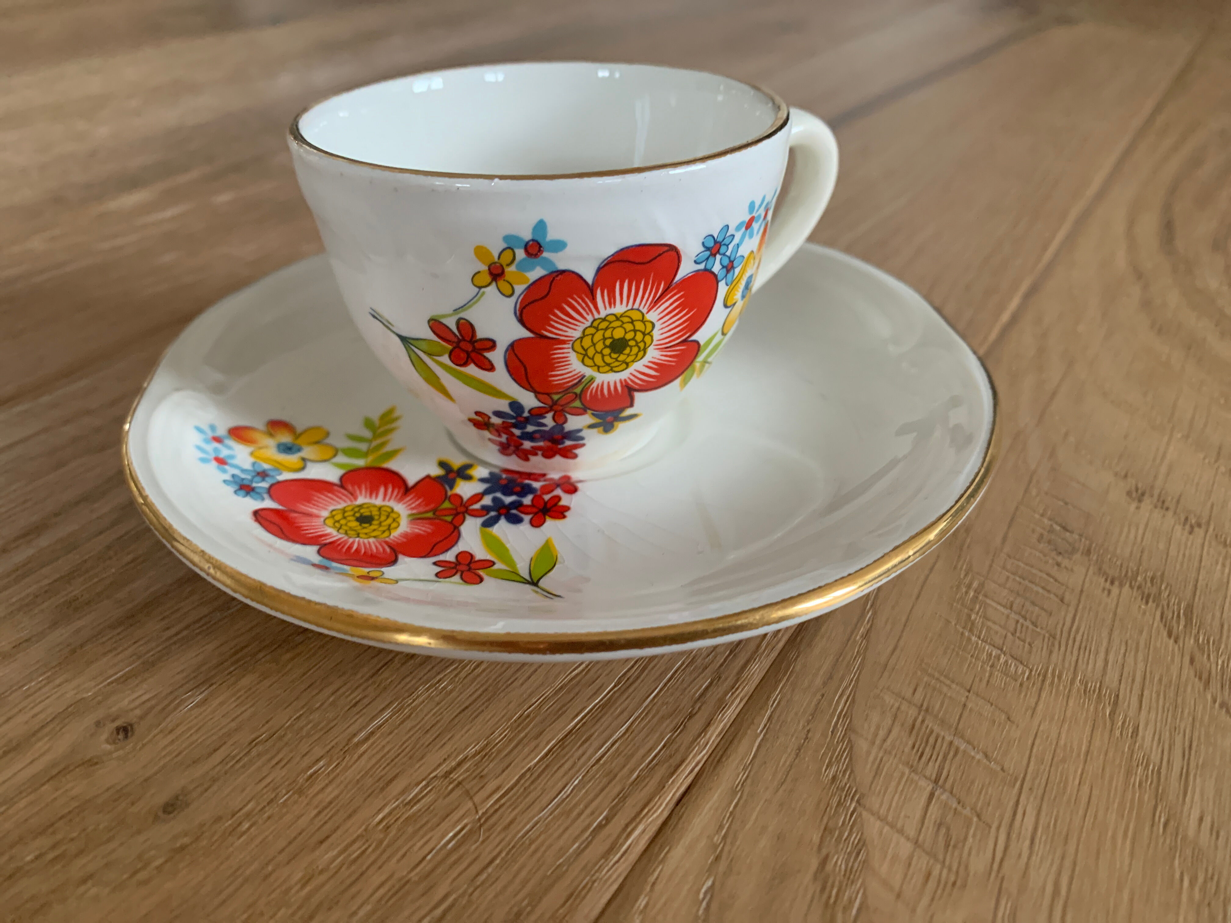 Cups and under cups porcelain gien RIVIERA