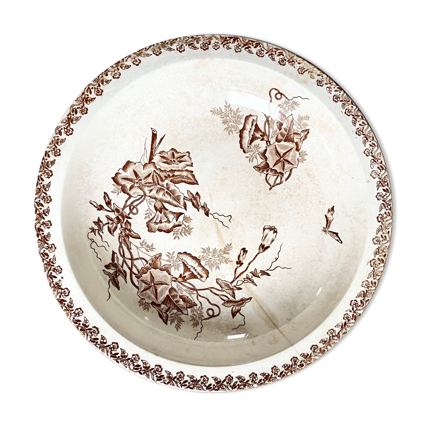 Old hollow dish