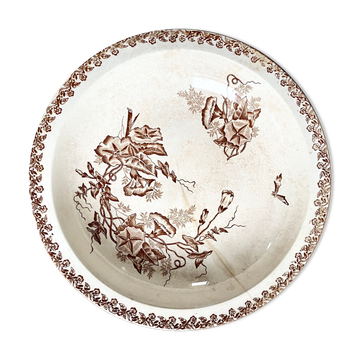 Old hollow dish