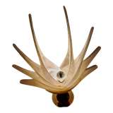Shell lamp by Roger Rougier - 1970