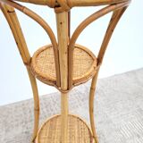 Vintage rattan plant holder