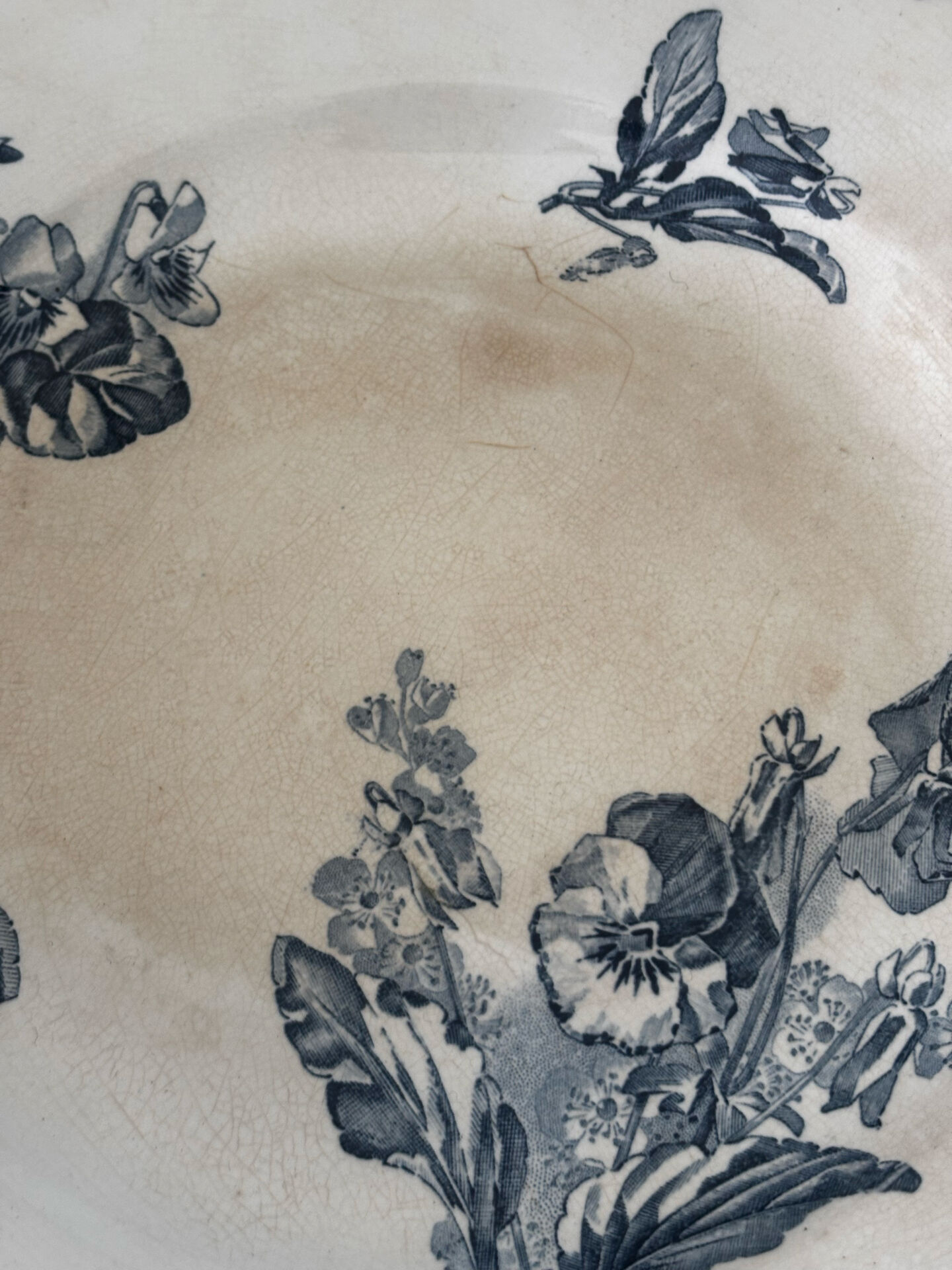 Antique plate from Sarreguemines Stella