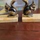 Squirrel bookends