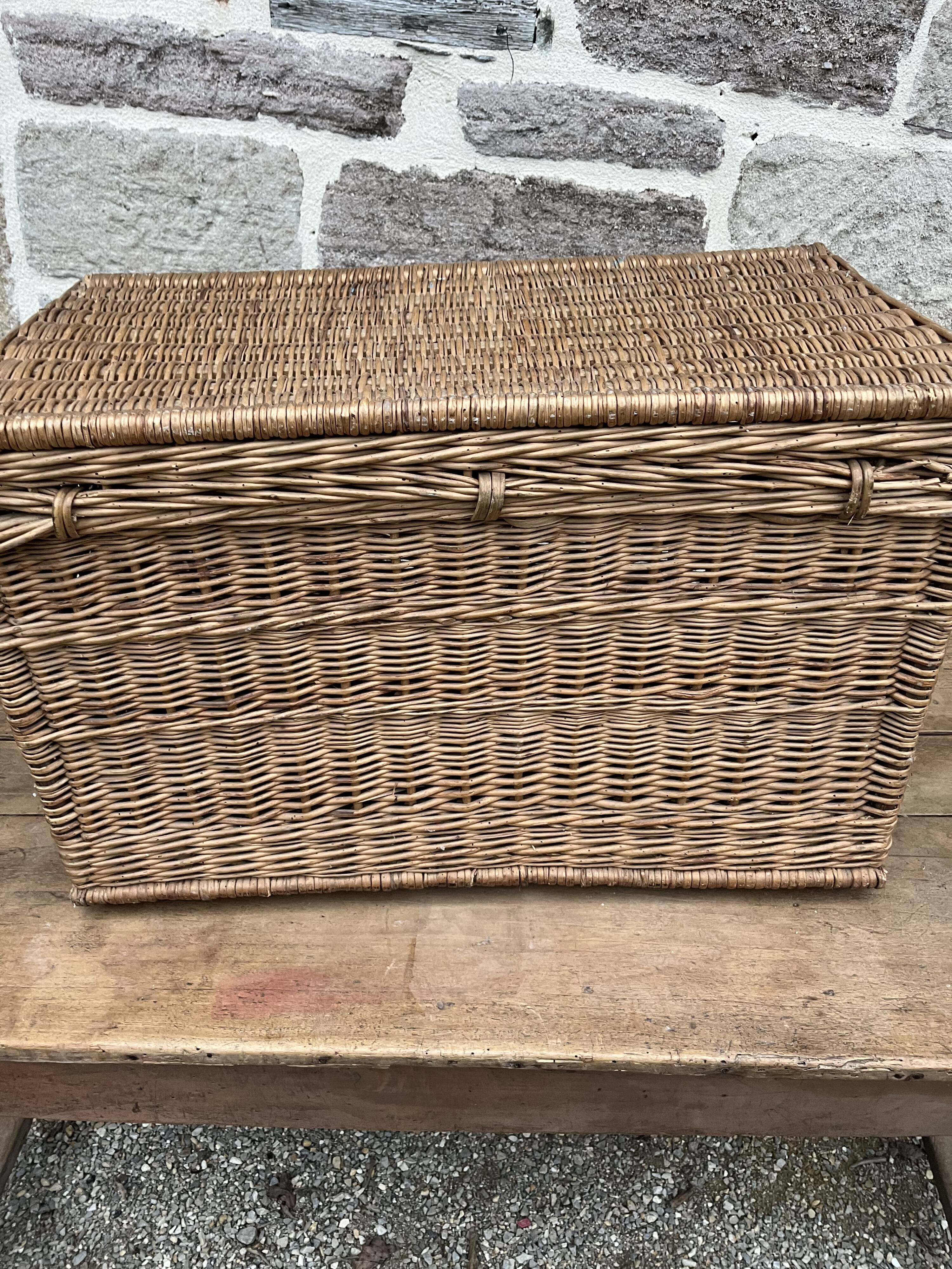 Wicker trunk