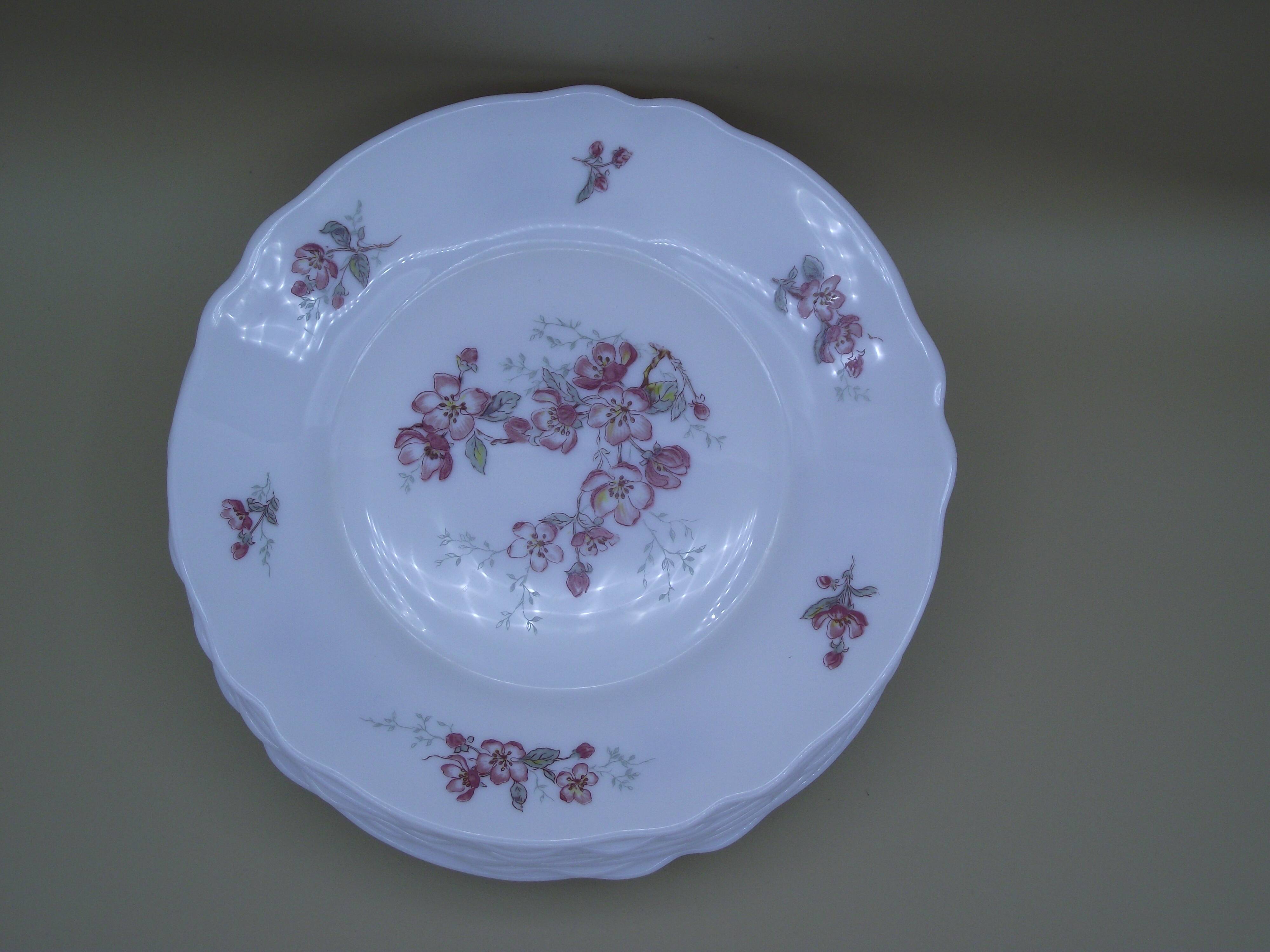 Lot of 9 dessert plates Arcopal France