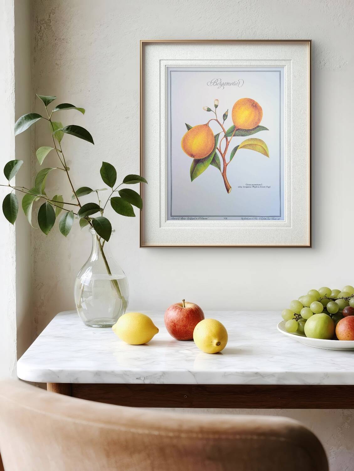 Printed in 1986, the bergamot tree. Vintage Botany.