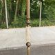 Vintage brass onyx floor lamp with fringed shade.