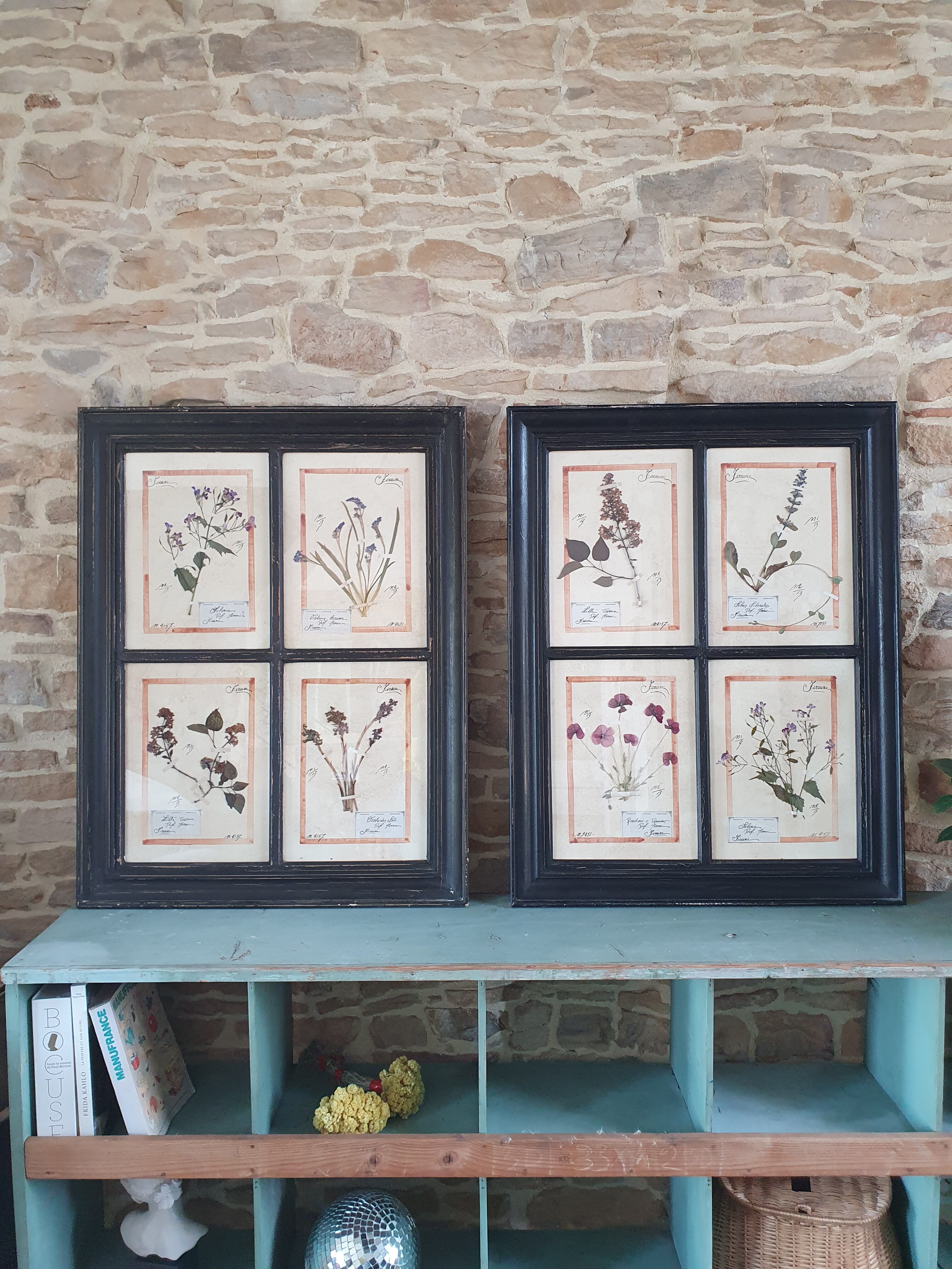 Herbarium frame