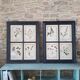 Herbarium frame