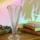 Glass tulip vase