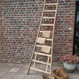 Ladder
