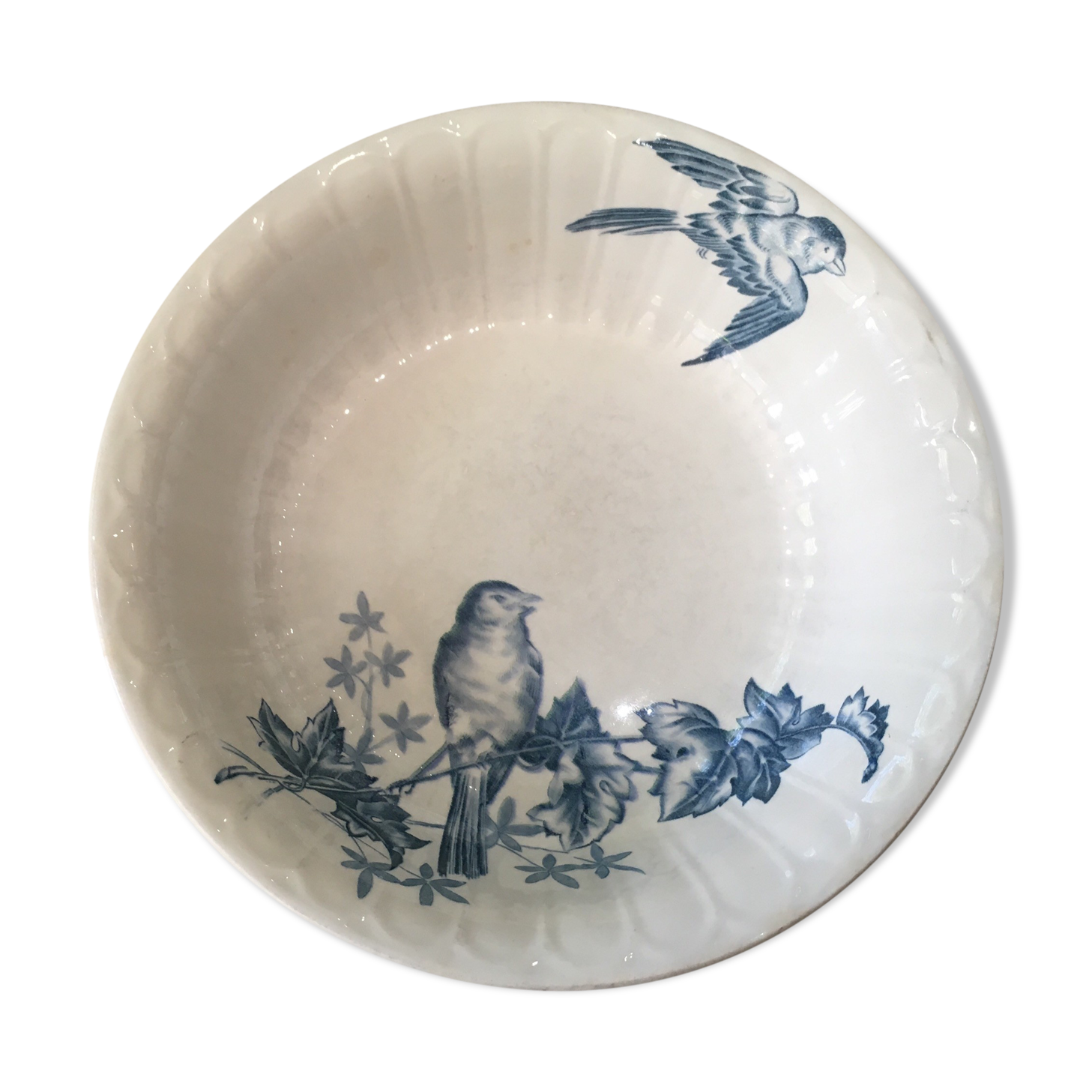 Dish "Boch La Louvière"