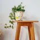 Vintage wooden stool with tapered legs - 1960s / Mid-Century