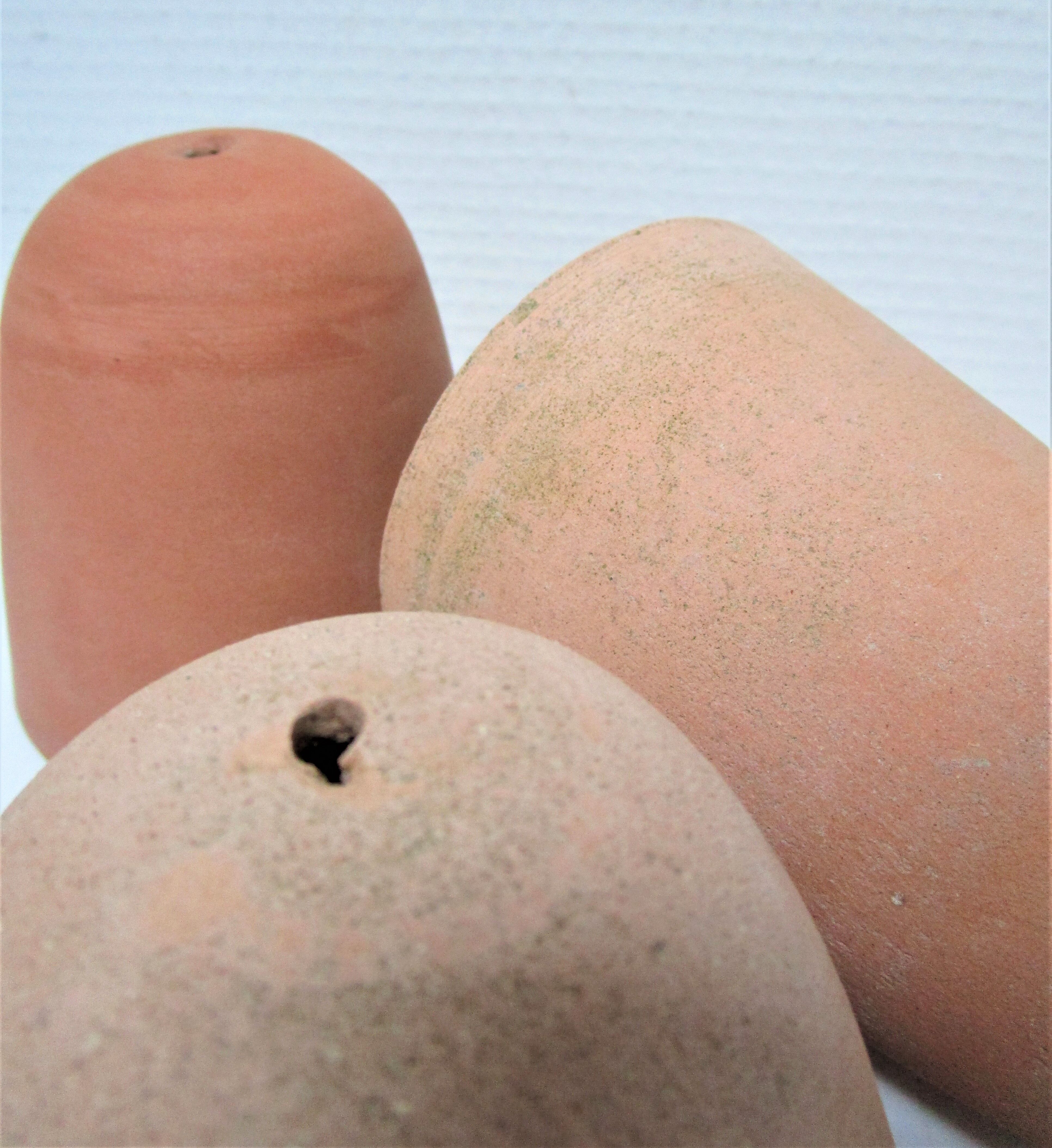Four bells for seedlings in vintage terracotta
