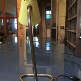 Robert Mathieu articulated lamp