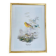 Birds lithograph frame after John Gould