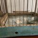 Double bird cage