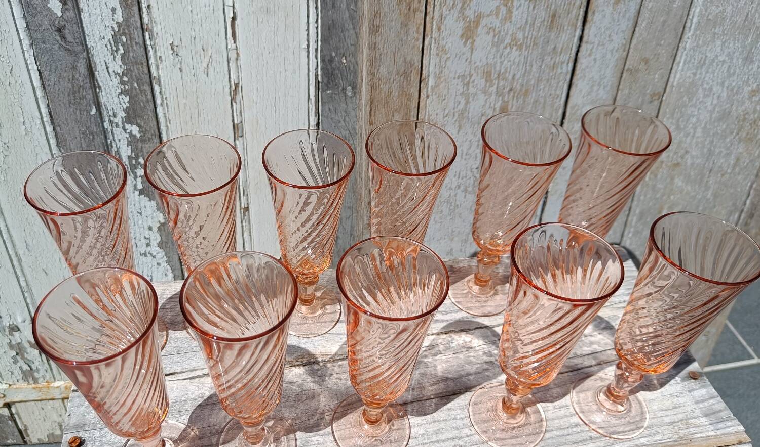 Rosaline champagne flutes set of 12