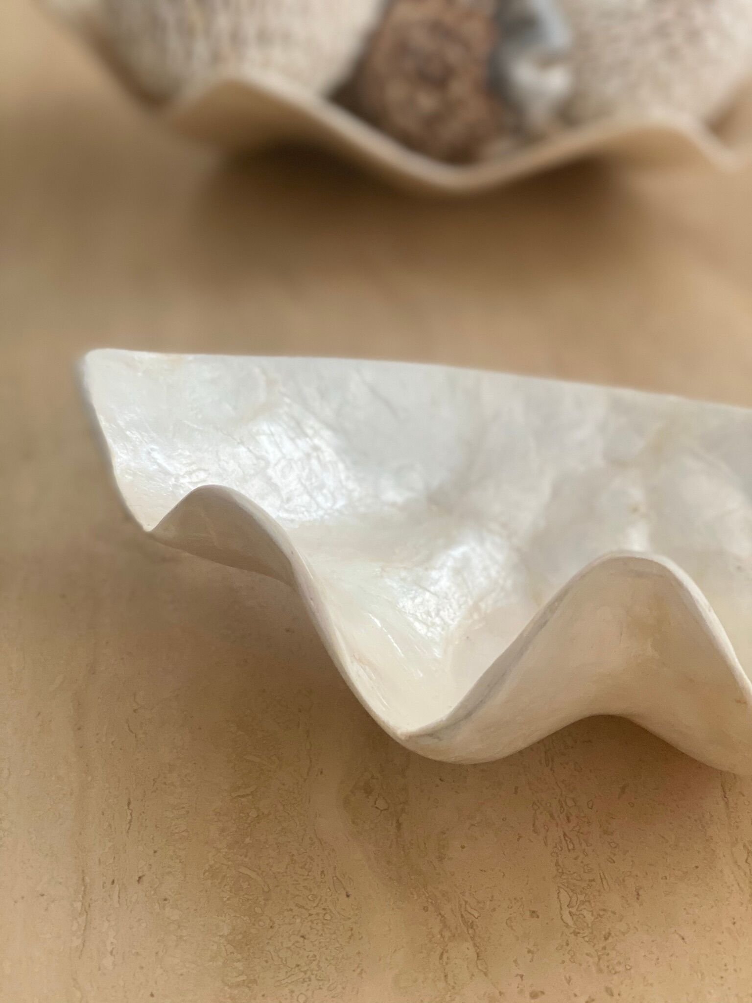 Pearly white shell benign cup