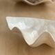 Pearly white shell benign cup