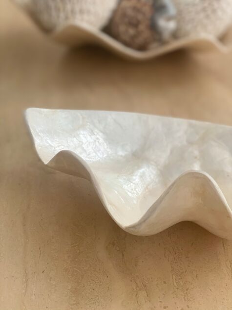 Coupelle bénitier coquillage blanc nacré